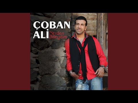 Benim Çakallarla Ne Işim Olur