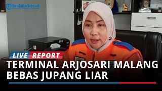 Download lagu Terminal Arjosari Malang Bebas Jupang Liar , Mega Perwira : Saya Pastikan Tidak Ada Lagi ! mp3 Download lagu Terminal Arjosari Malang Bebas Jupang Liar , Mega Perwira : Saya Pastikan Tidak Ada Lagi ! mp3