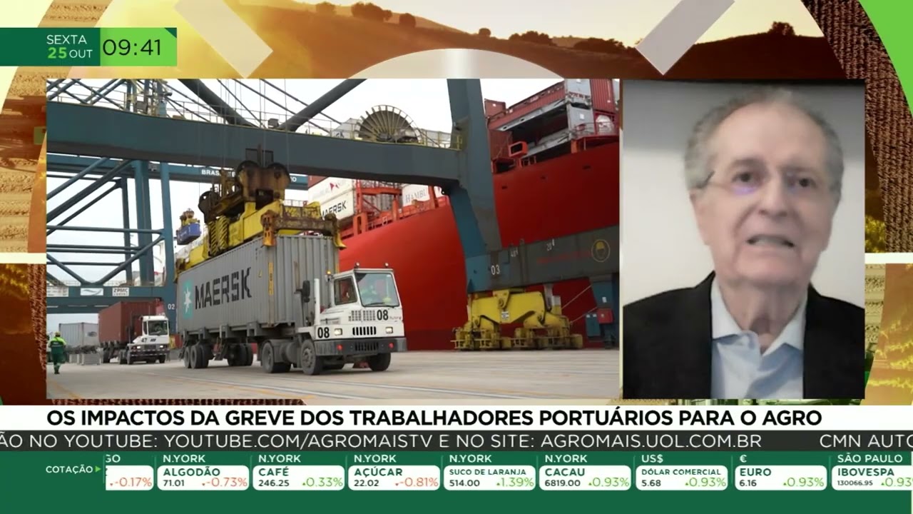 Os impactos da greve dos trabalhadores portuários para o agro