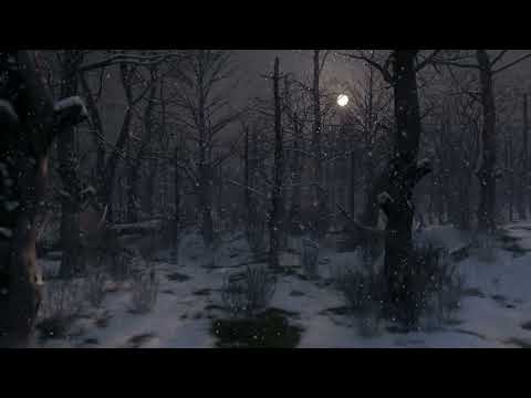 Cold Winter Forest Ambience : Snowy Winter Nights Forest Sound 8 Hours | Owl, Crow Sounds