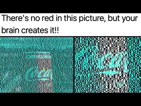 Memes About Colours