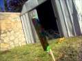 texas pop rocket firework 