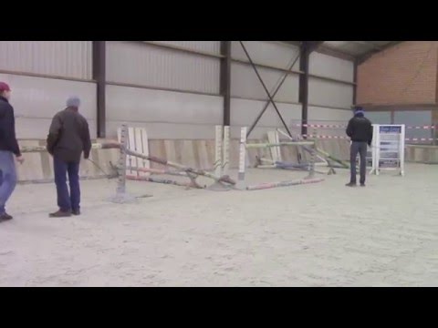 Nobelina T 136cm- 2013 afstam: Nobel Nagano /Charivari/Diamond Hitt