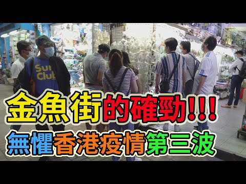 金魚街的確勁! 無懼香港疫情第三波 實拍太子近況 西洋菜街 通菜街 旺角花園街 始創中心 聯合廣場