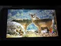 Babyfirst Safari Scrapbook Deer