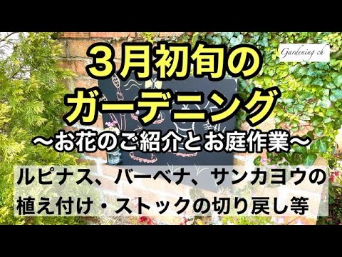 鉢植えや庭でプルメリアの世話をする: 冒険、香水、ケーキの美しい物語で彩られた短いガイド  庭園