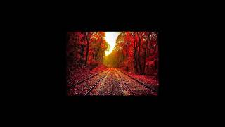 Download lagu 12 Idhayathil Iruppavale mp3