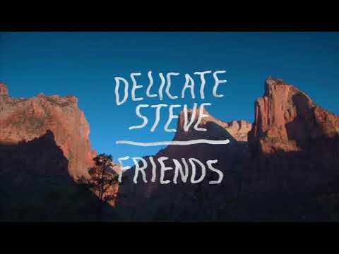 Delicate Steve - "Friends" (Full Album Stream)