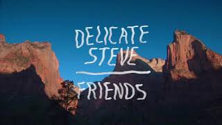 Delicate Steve - "Friends" (Full Album Stream)