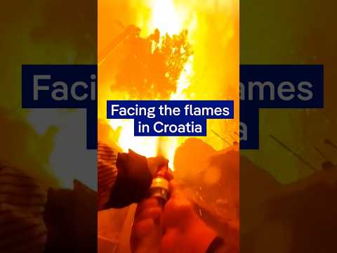 Bodycam footage shows Croatian firefighters on the frontline of deadly wildfire | DW News