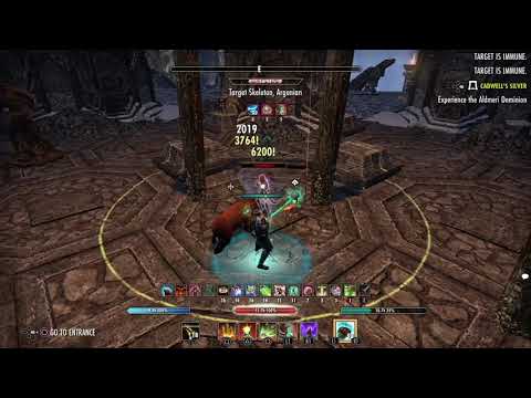 ESO Stamina Warden 3m DPS