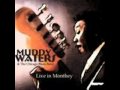 Muddy Waters & Johnny Winter / Trouble No More