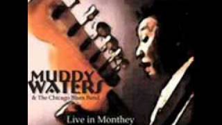 Muddy Waters &amp; Johnny Winter / Trouble No More