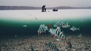 Чертики блесна для зимней рыбалки