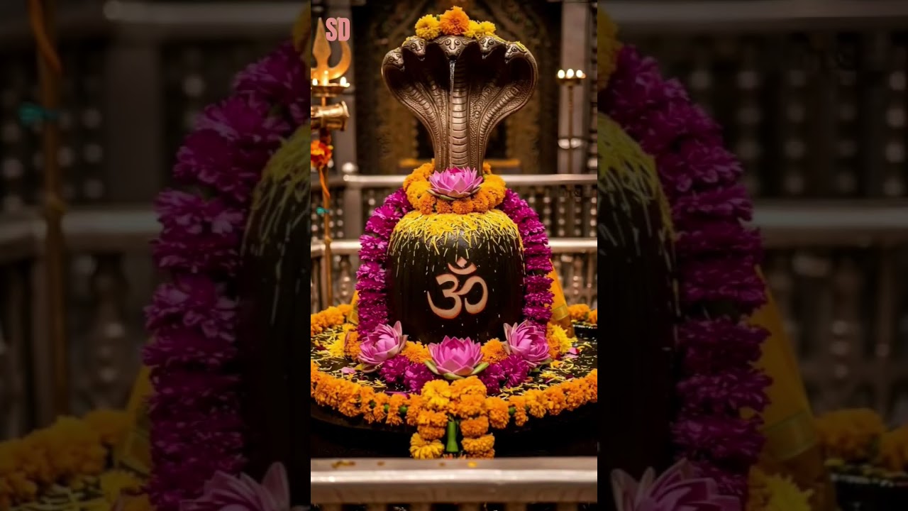 🌺शिवलिंग के दिव्य दर्शन🙏 हर हर महादेव🌺#shorts#shivling #mahadev#mahakal  #shortsfeed #viralshort