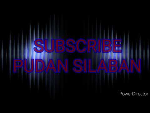 DIRIBAKKON PUANG -MEDAN TRIO (DANG PENGHIANAT)