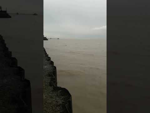 *🌊 Así está el Río de la Plata hoy - Agua marrón y cielo nublado*