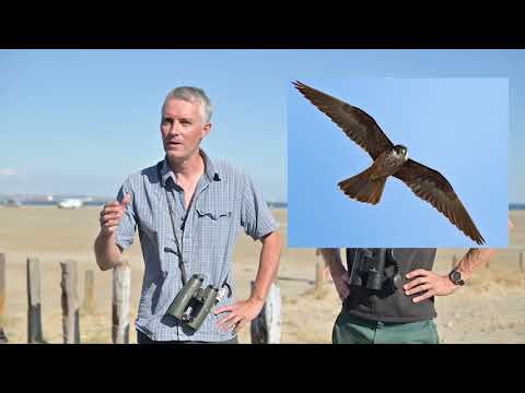 Débat EOS - Bureau des guides GR2013 - 31/08/2021 #2