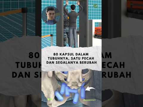 THE DARK SECRET BEHIND CAPSULE SMUGGLING #shorts #facts