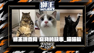 [分享]獅王SPOTLIJT #13 獅王調查局_喵喵大集合