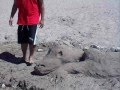 RJ's crocodile at Bear Lake, ID (North Beach)