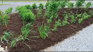 Sea Talk - Rain Gardens