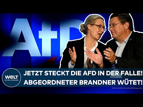 BUNDESTAG: Die AfD steckt in der Falle! "Sie werden es wieder verhindern", wütet Brandner