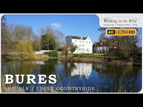Suffolk Walks: Bures