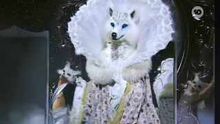 The Masked Singer Australia Season 5 Finale Performance Ranking | TMK