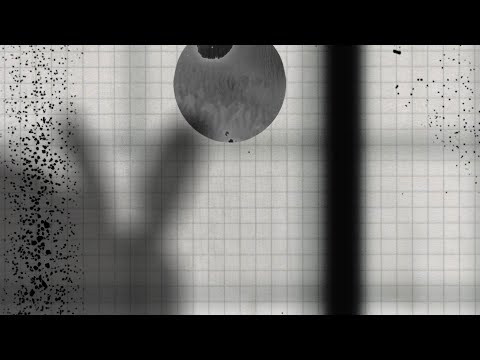 International Anthem and Nonesuch Records