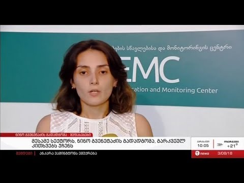 EMC-ს მართლმსაჯულებისა და დემოკრატიის პროგრამის იურისტი, მარიამ მხატვარი