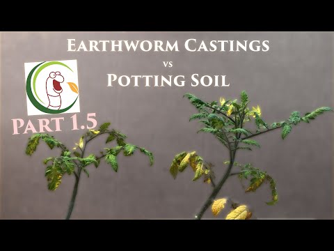 Earthworm Castings vs Potting Soil (PART 1.5) | VermisTerra and PRO-MIX