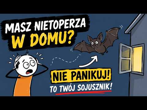 Masz Nietoperza w Domu? Nie Panikuj – Oto Co Naprawdę Robi Każdej Nocy.