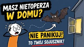 Masz Nietoperza w Domu? Nie Panikuj – Oto Co Naprawdę Robi Każdej Nocy.