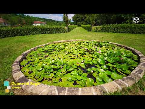 Domeniul Regal de la Săvârșin