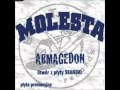 Molesta - Armagedon (Instrumental)