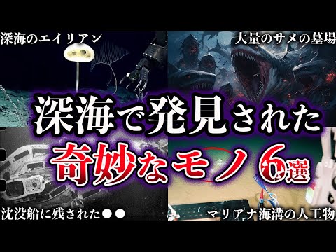 深海発見:研究者らは海底約2,500メートルでこれを発見した。