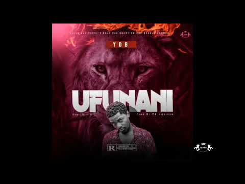 YDB_Ufunani