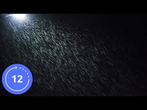 12 Hodin / Zvuky / LEHKÝ DÉŠŤ NA NOČNÍ ULICI / Zvuk Deště / Zvuky na Spaní / Zvuk Dažďa