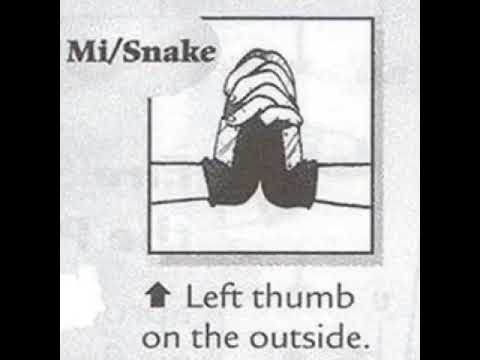 Clone Jutsu Hand signs