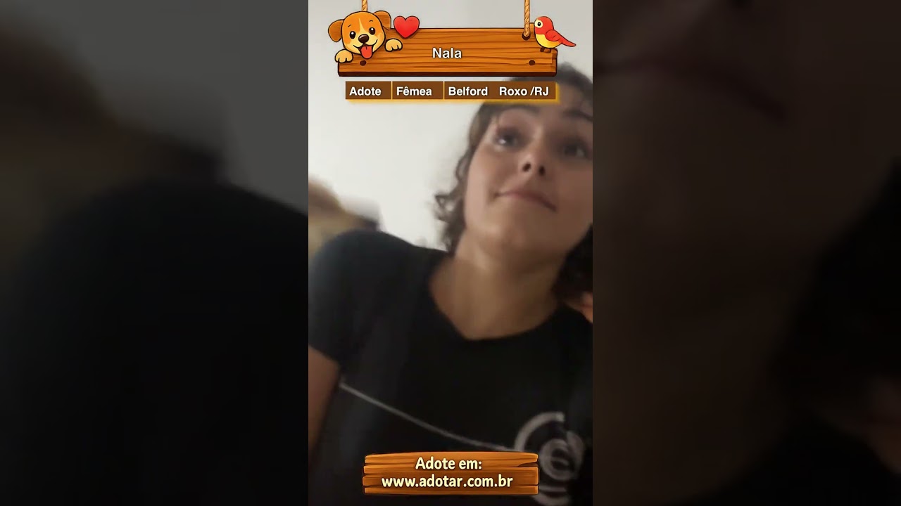 Cachorro raça SRD-ViraLata idade 2 anos nome Nala