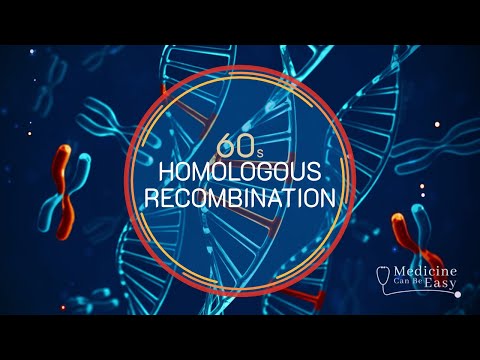 Genetics in 60 seconds: Homologous Recombination