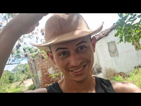 A GENTE NA ROÇA, FAZENDA OURICURI EM VALENTE BAHIA. 🍃🚜🌳 