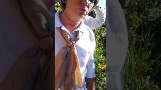 Welcome to our Utah Valley Permaculture Classroom Food Forest in its 2nd Year