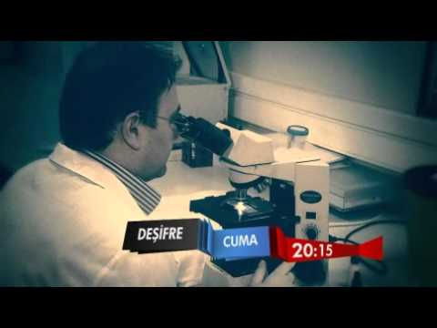 A HABER / DEŞİFRE, ÇAĞIN VEBASI SAYILAN KANSER DOSYASINI AÇIYOR... | A Haber