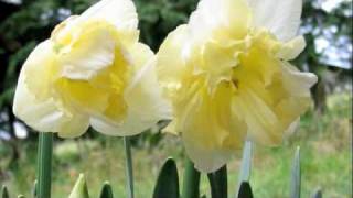 Françoise Hardy - "Parlami di Te"