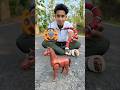 Akta Rc Snake And Rc Horse Unboxing
