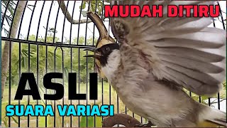 Download lagu MASTERAN KUTILANG GACOR SUARA VARIASI MUDAH DITIRU mp3