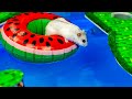 Pool Maze for Hamster!  MINECRAFT WORLD!