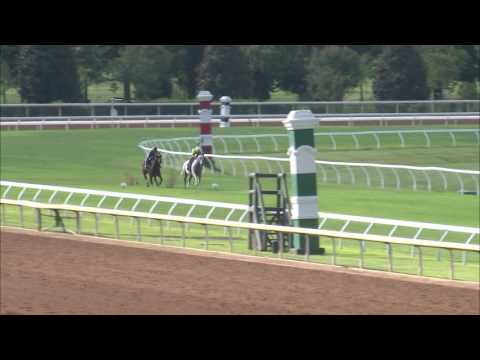 LADY AURELIA works in prep for Darley Prix Morny (G1) – August 11, 2016